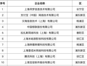 上海公布软件信息业“双百”名单，B站、叮咚买菜首入前十行列|界面新闻